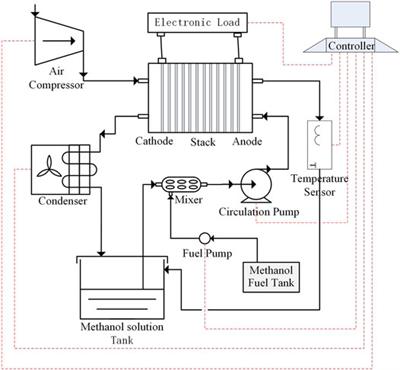 Methanol Sensor-Less Control Strategy for Direct Methanol Fuel Cell Startup